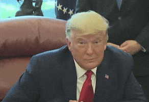 Sad Donald Trump GIF by GIPHY News