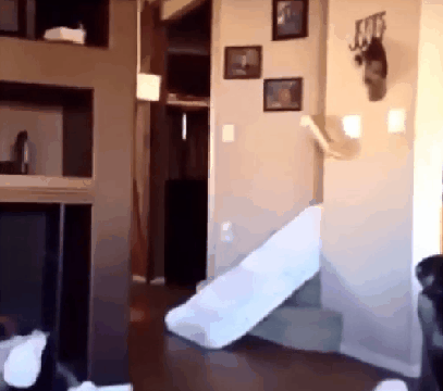 dgx8c2ldq3o11.gif