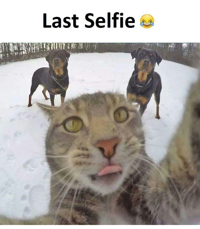 585df0470034a.jpeg