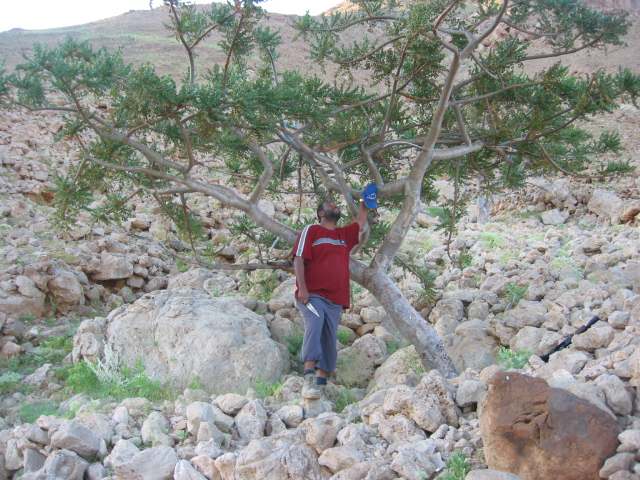 Picture1%20109.jpg
