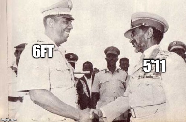 336x1p.jpg