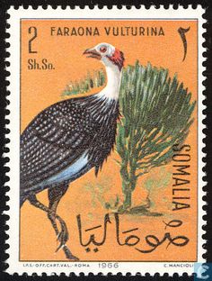 30 Somalia (after independence)-Postage stamps ideas | postage stamps,  somalia, postage