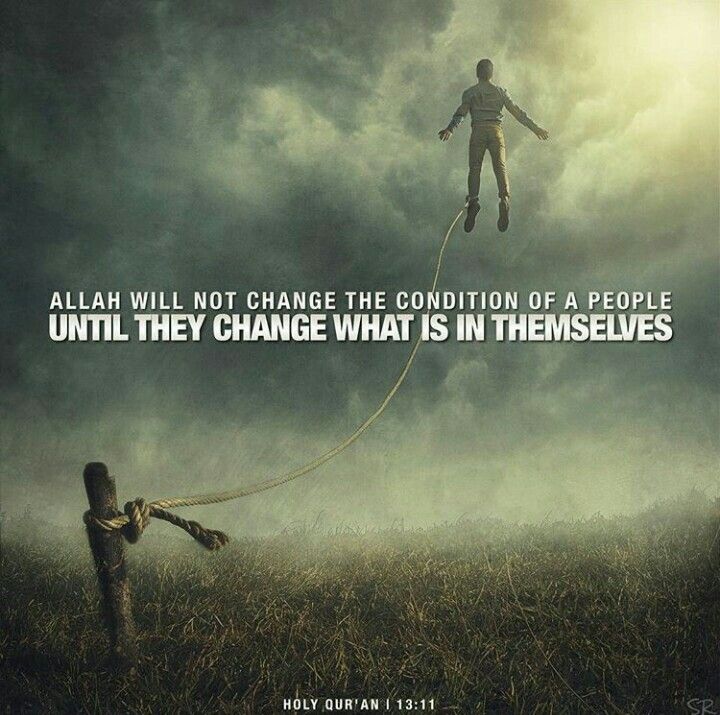 16cf4ba6294ead183491c19a2e88685c.jpg