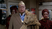 063b6b9f-6735-40bd-b0bd-f71183f81e24_100_h_6.gif
