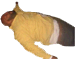 YCfNjR7.png