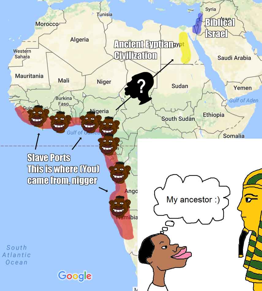 1492728336438.jpg