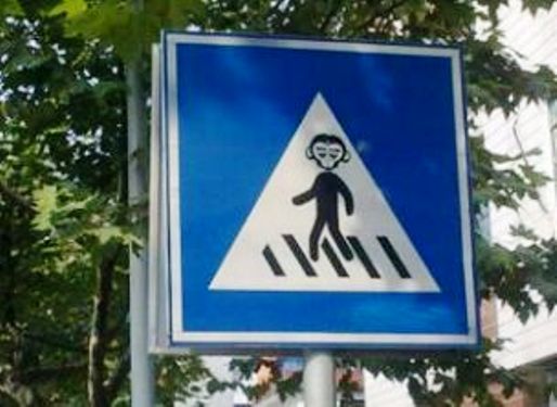 monkey-crossing.jpg