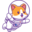 moonpaw.cc