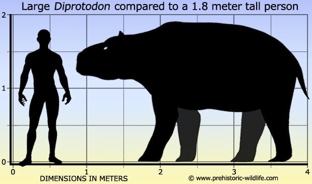 diprotodon-size.jpg