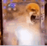 Skeleton Screaming GIFs | Tenor