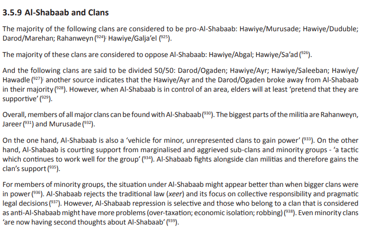 shabab.png