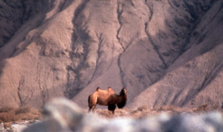 Gobi-Slides-1996-97-HQ-03.jpg