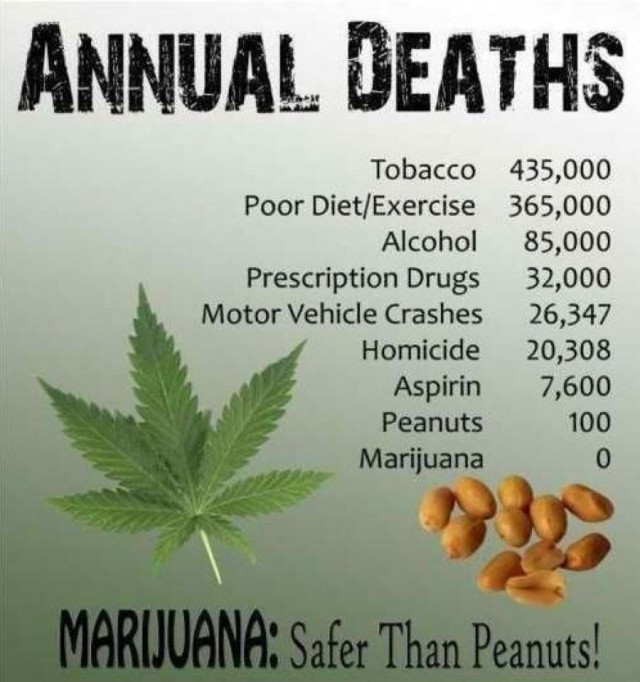 Marijuana-Safer-Than-Peanuts-infographic-weedist-640x682.jpg