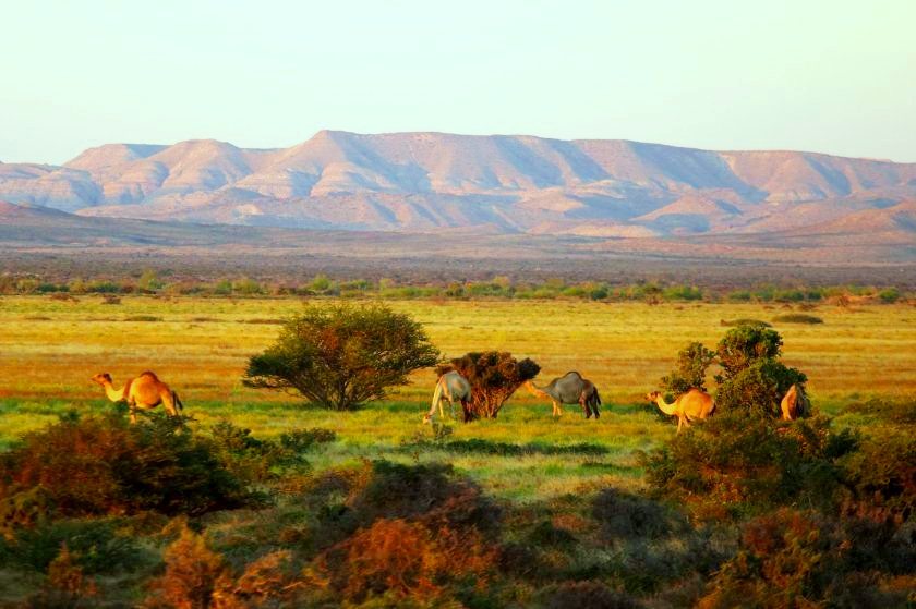nugaal-valley-somalia1.jpg