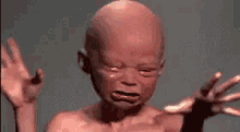 bald-kid-cry.gif