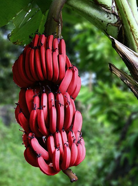 2565501753_d2569cf7d2_z.jpg