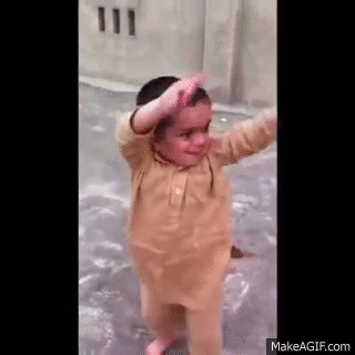CjtyNr.gif
