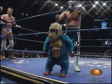 ce651595c94c2aa981d79adcf2c5e7e9.gif