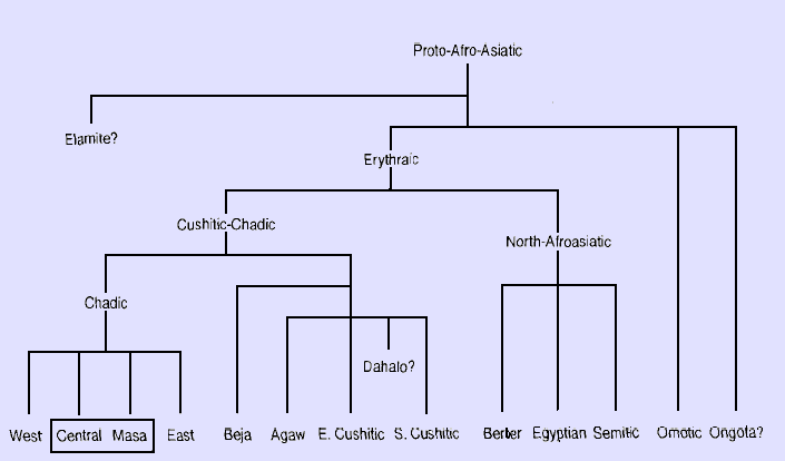 afro-asiatic.png
