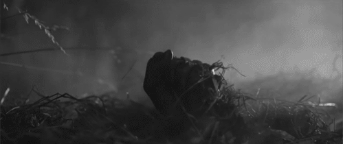 tumblr_mhfb6y3rU01ru5gx2o1_500.gif