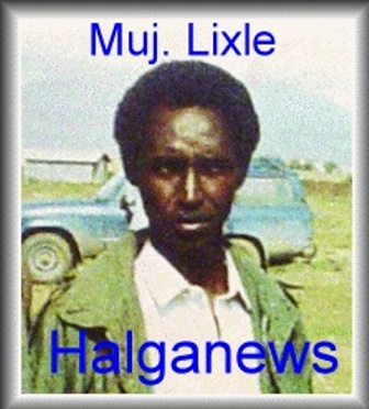 lixle11.jpg