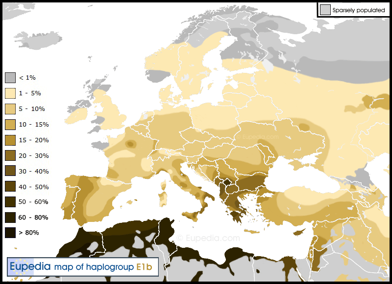 www.eupedia.com