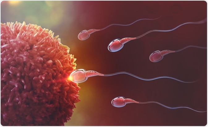 www.news-medical.net