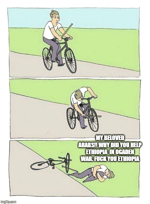 31vct4.jpg