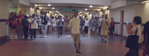 giphy.gif