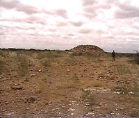 HersiM1_07.jpg