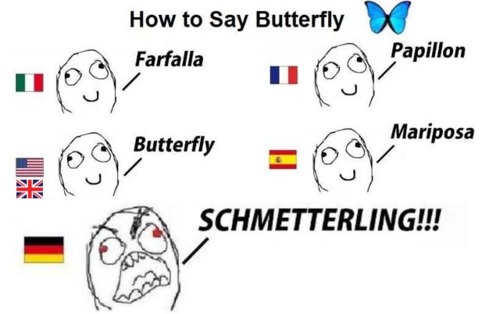 funny-pictures-german-language-meme-0.jpg