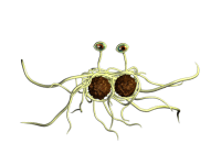 FSM-white.gif