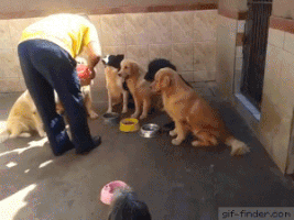 200.gif