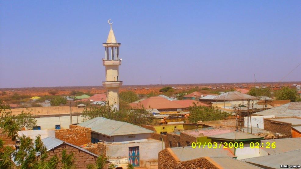 Buuhoodle.jpg