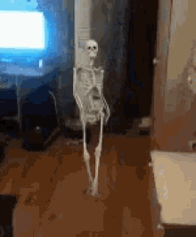 skeleton-dance.gif
