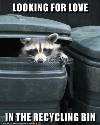 looking-for-love-in-the-recycling-bin