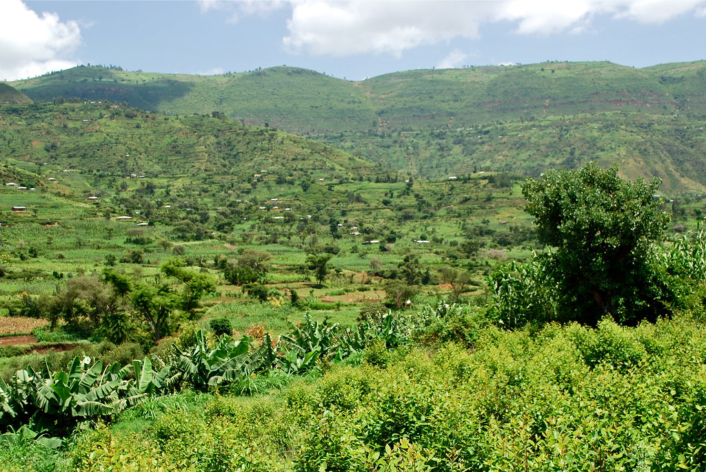 Intensive farming on lower slopes of hills in Misraq Harar… | Flickr