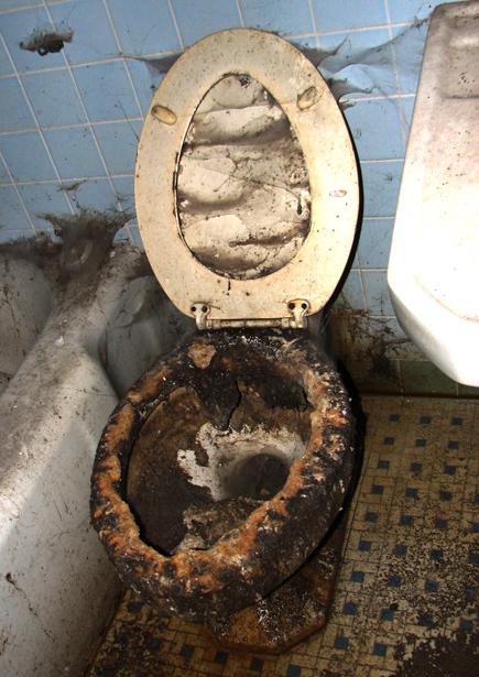 1_dirty_toilet_by_woodmillmiles.jpg