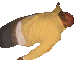 27qGpbl.gif