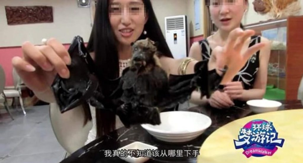 Bat-Soup_Chinapress-1-1024x552.jpg