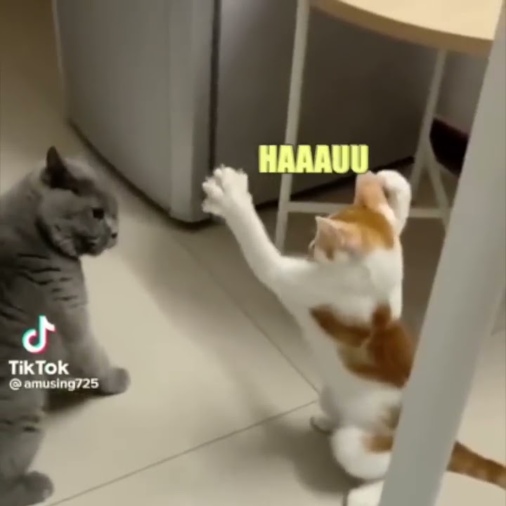 youtube.com