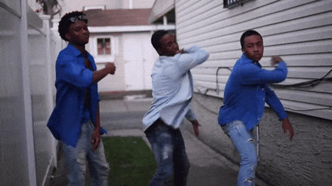 giphy.gif