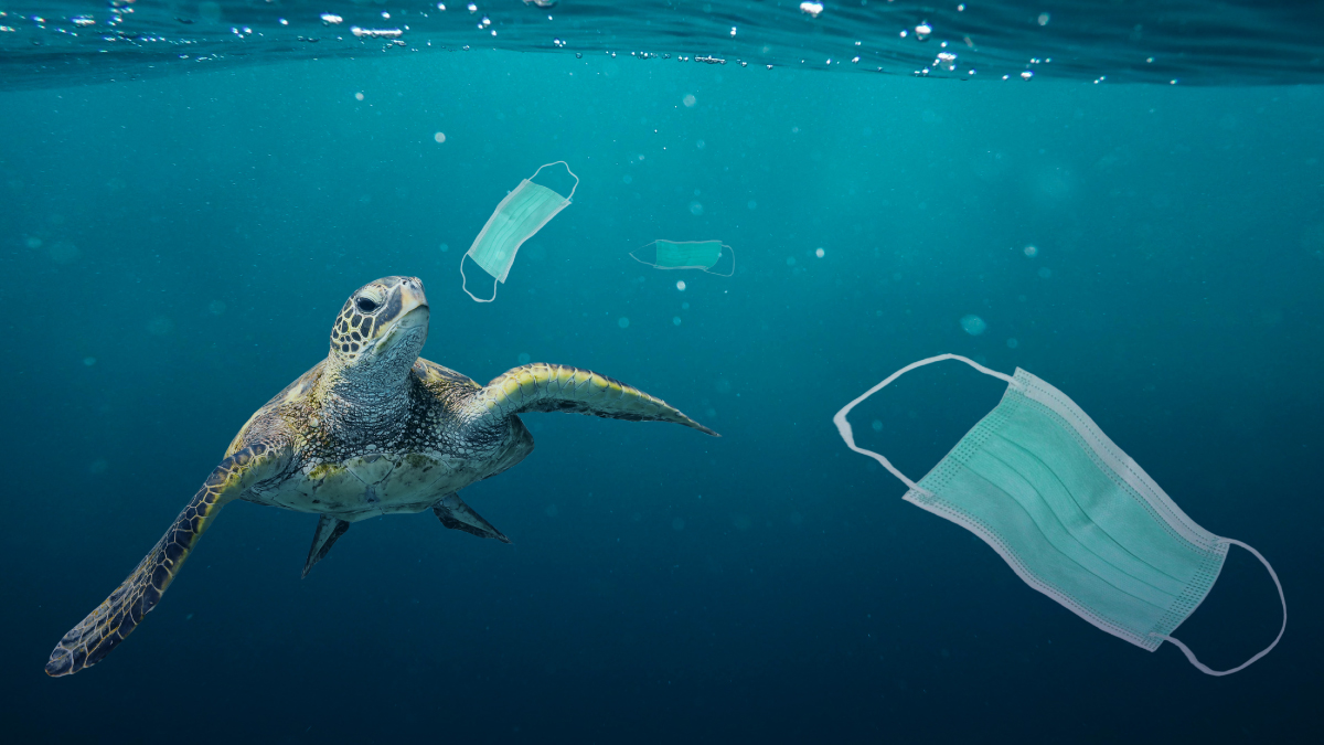 2020-27-07_Plastic-pollution_1200x675.jpg