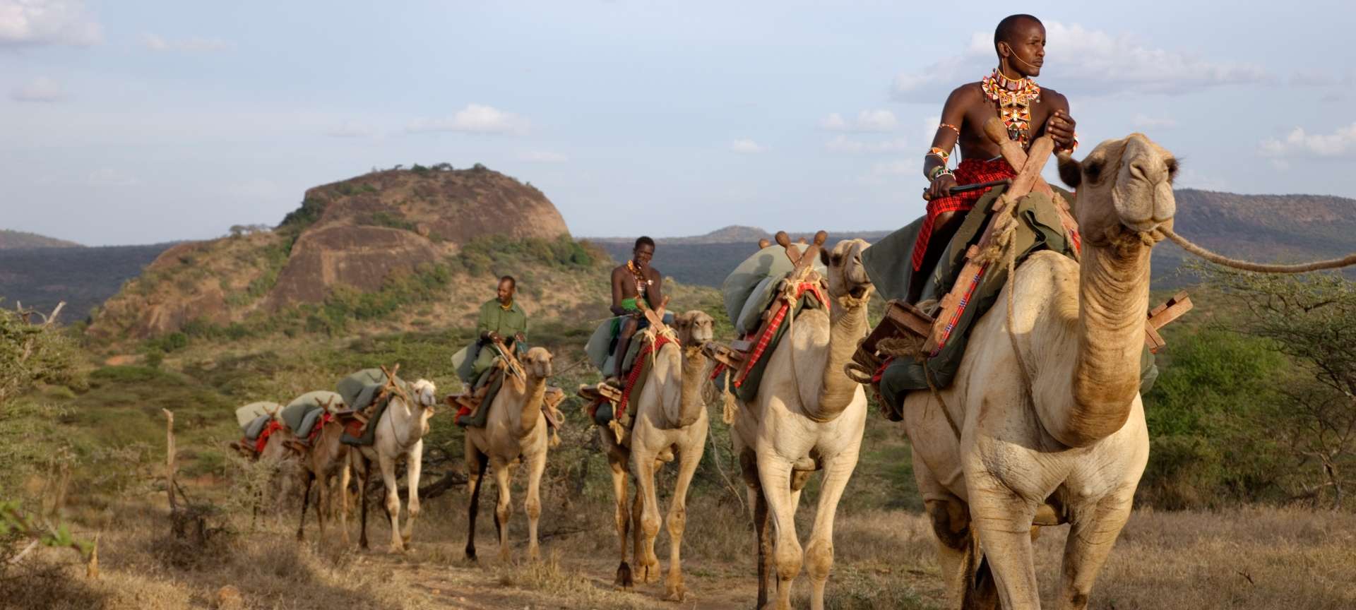 ol_malo_-_camels__1920x864-1.jpg
