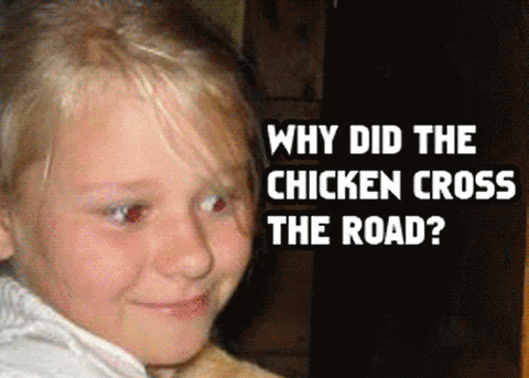 giphy.gif