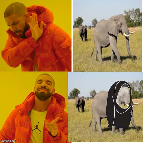 3ntx3o.jpg