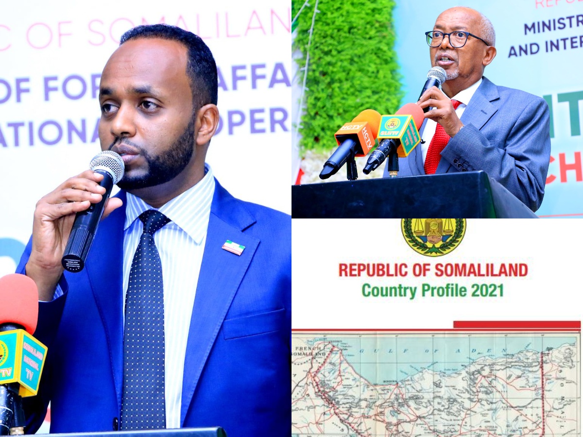 somalilandchronicle.com