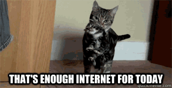 tumblr_mgd64iZy9I1rvl3nyo1_400.gif