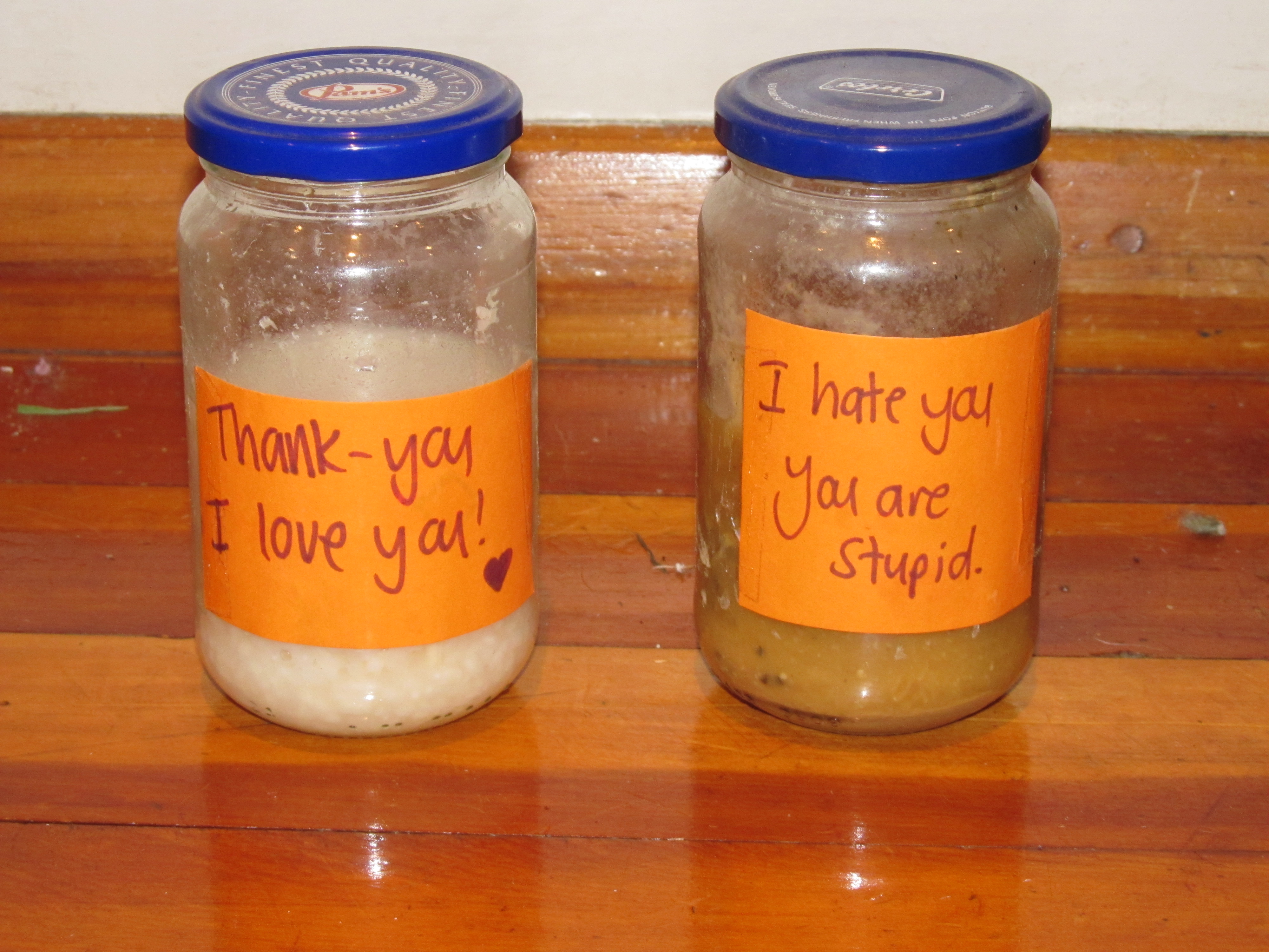 rice-photos-002.jpg