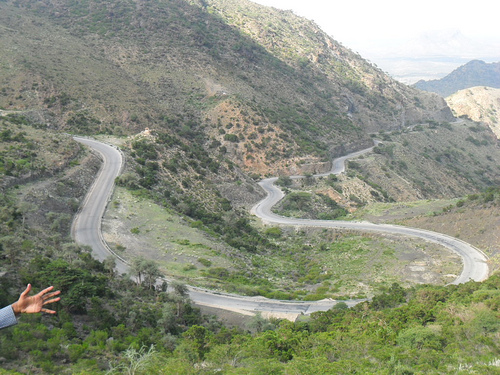 ADAL-11.jpg